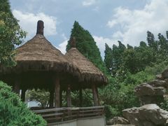 -绍兴古城
