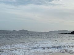 -枸杞岛