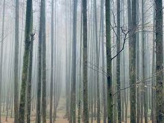 -山王坪喀斯特国家生态公园