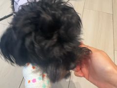 -YCHL Studios健身工作室(市二宫店)