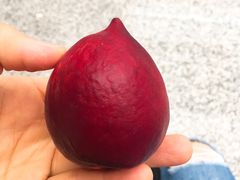 -西江老字号徽记毛豆腐