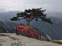 -法门文化景区