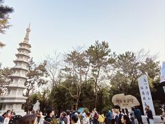 -海东龙宫寺