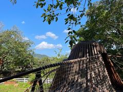 -光明小镇欢乐田园