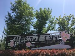 -田园东方蜜桃村的田野营地