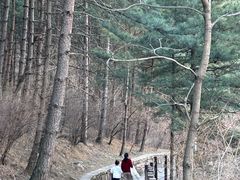 -黄崖洞文化旅游区