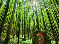 -山王坪喀斯特国家生态公园