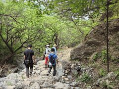 -北京鹫峰国家森林公园