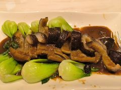 虾子大乌参-梅龙镇酒家(南京西路总店)