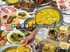 -圣淘沙天际线斜坡滑车