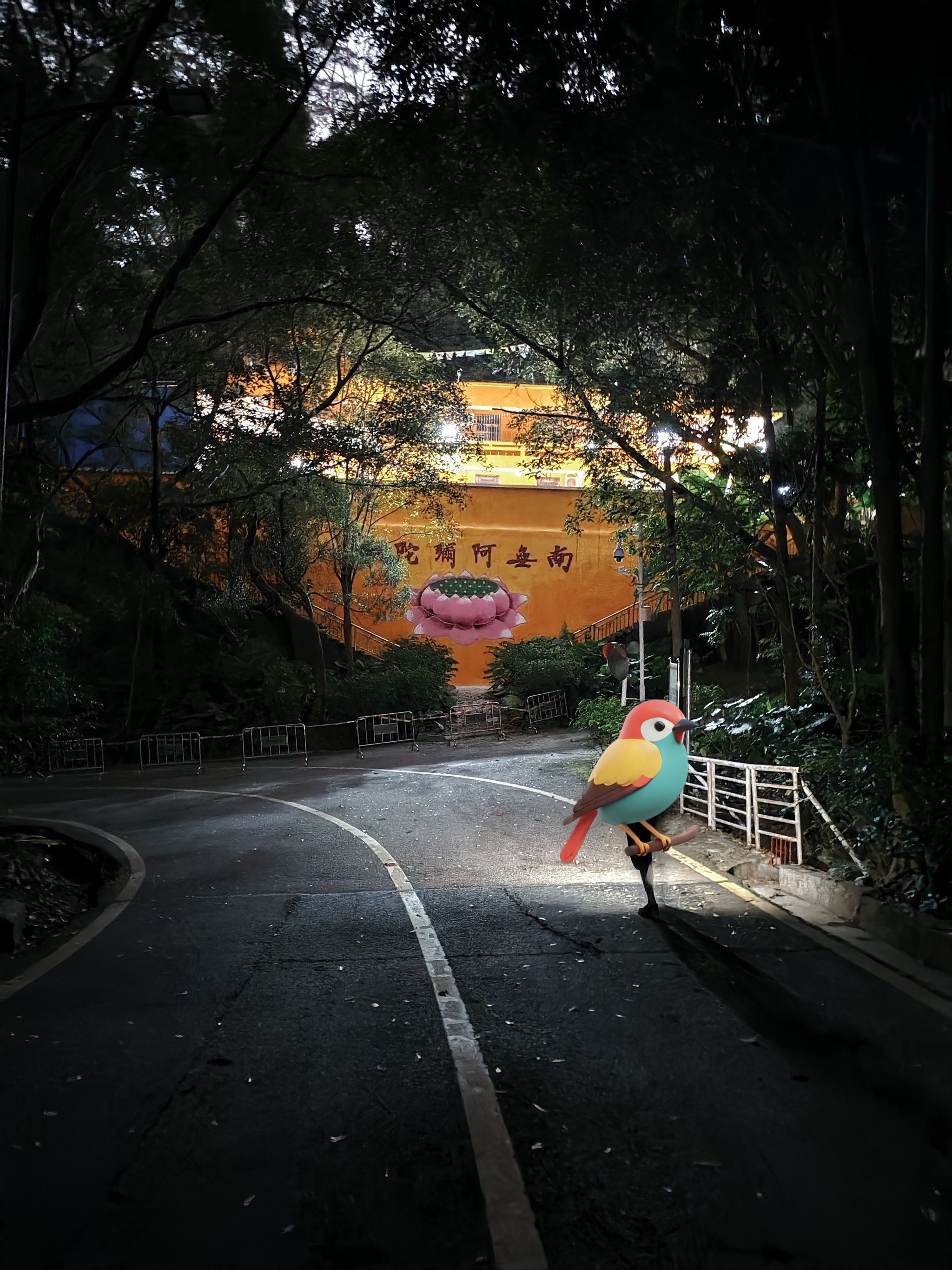 夜爬凤凰山