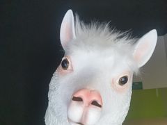 -拾叁唐Livehouse(佛山禅城店)