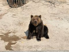 -大连森林动物园