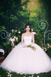 清新田园-巴黎婚纱摄影工作室