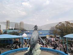 -海合安武汉极地海洋公园