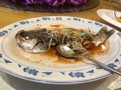 -御座宾馆-餐厅