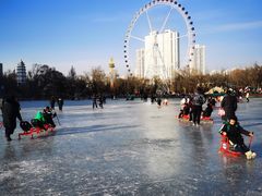 -西宁市人民公园(城西区)