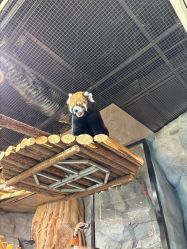 -Zoolung Zoolung动物主题公园(海信广场店)