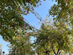 -东山湖公园