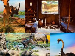 -国家自然博物馆