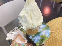 -野人先生Gelato(上海长宁龙之梦店)