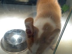 -乐宠宠物店(世纪金源店)