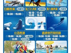 -秦皇岛乐岛海洋王国