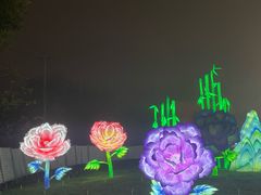 -国际非物质文化遗产博览园