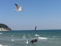 -海云台海滩