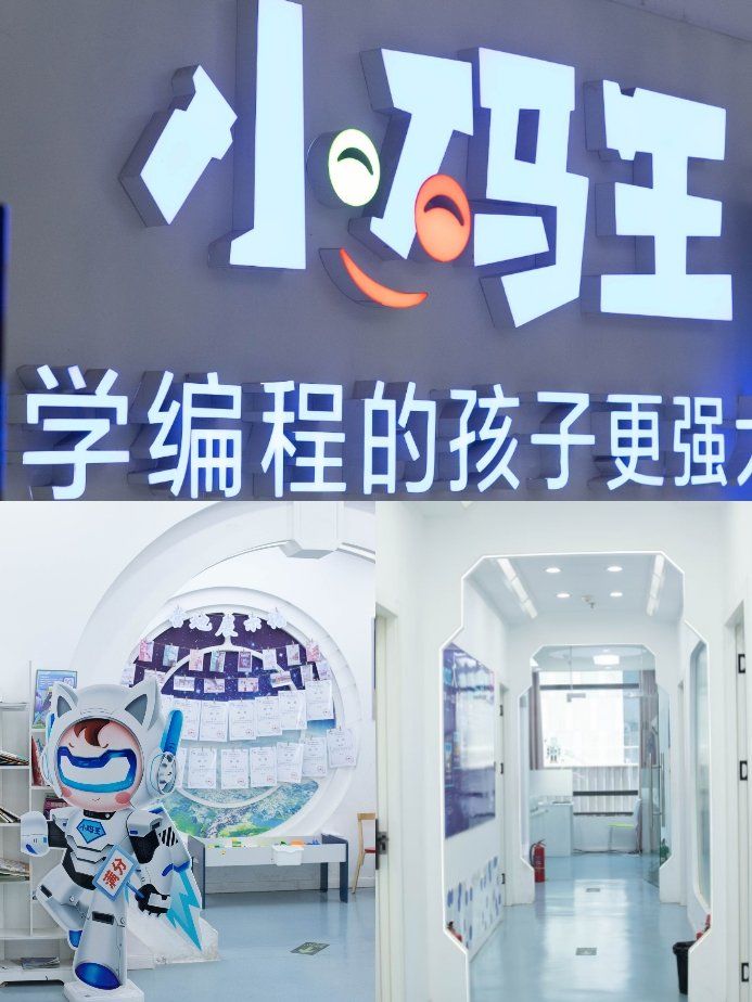 后悔没早点发现小码王少儿编程