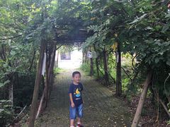 -武汉紫薇都市田园