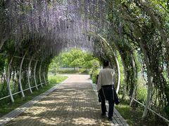 -同里国家湿地公园
