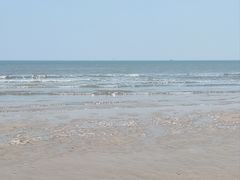 -日照海滨国家森林公园