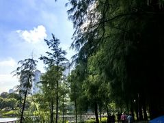 -四海公园(南山区)