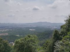 -火炉山森林公园