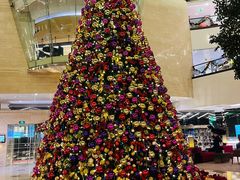 -皇朝尊会(龙之梦大酒店)