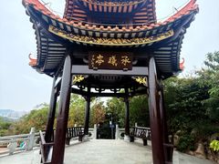 -野狸岛