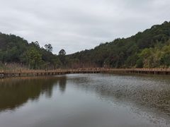 -神光山国家森林公园