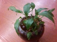 -桂客膳房·珍品堂