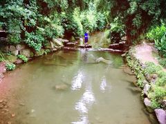 -重庆彩云湖湿地公园