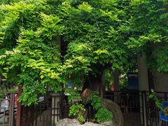 -郑和公园