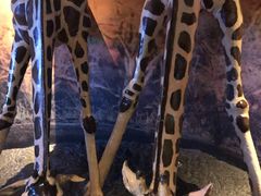 -上海海洋水族馆