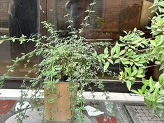 -大学习巷清真寺