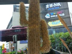 -必胜客(武汉欢乐谷店)