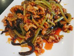 鱼香肉丝-春来和(汉城南路店)