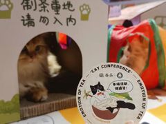 -眷茶(大卫城10楼店)