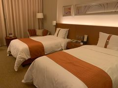 -上海浦东康桥绿地假日酒店