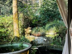 -野蔓果·山野菜(西湖景区·龙井茶田店)