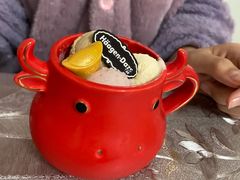 香草冰激凌-哈根达斯(皇城恒隆广场店)