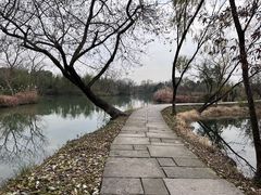 -西溪国家湿地公园